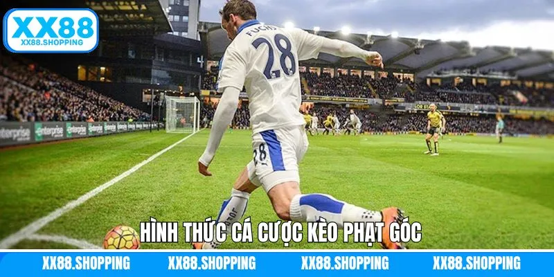 Đặt cược chấp thú vị trong kèo phạt góc Đặt cược chấp thú vị trong kèo phạt góc