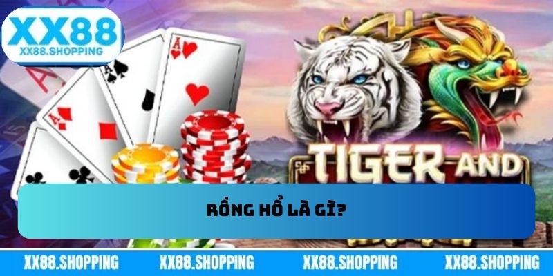 Rồng hổ là gì