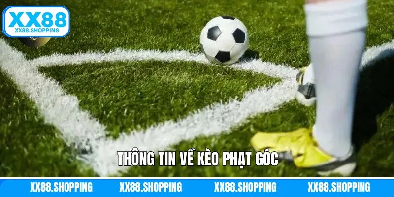 Vài nét chính về hình thức cá độ đang hot Vài nét chính về hình thức cá độ đang hot